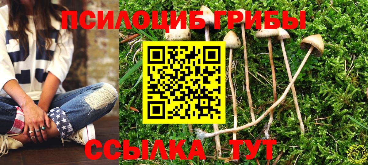 Жигулёвск  Псилоцибиновые грибы мицелий  Вход с VPN 